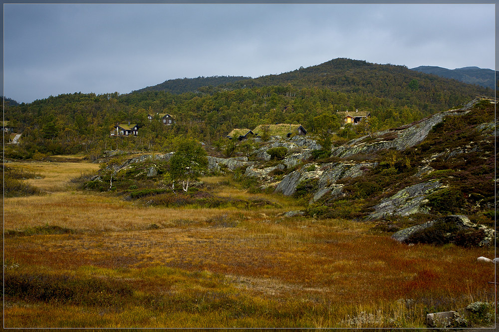 Hochmoor