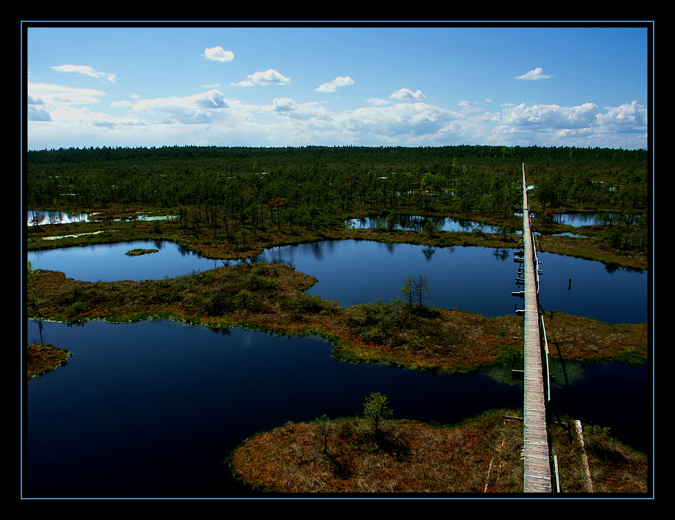 Hochmoor