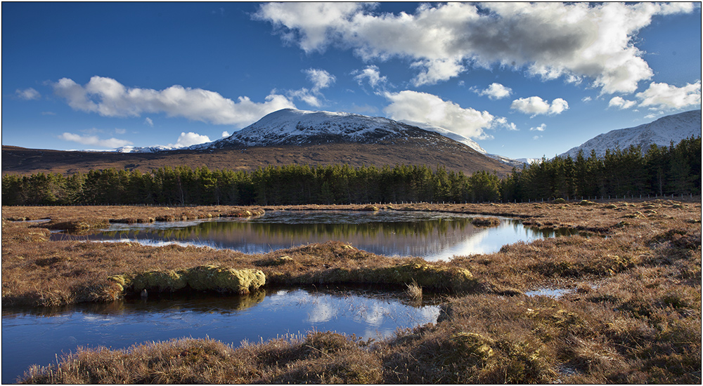 Hochmoor