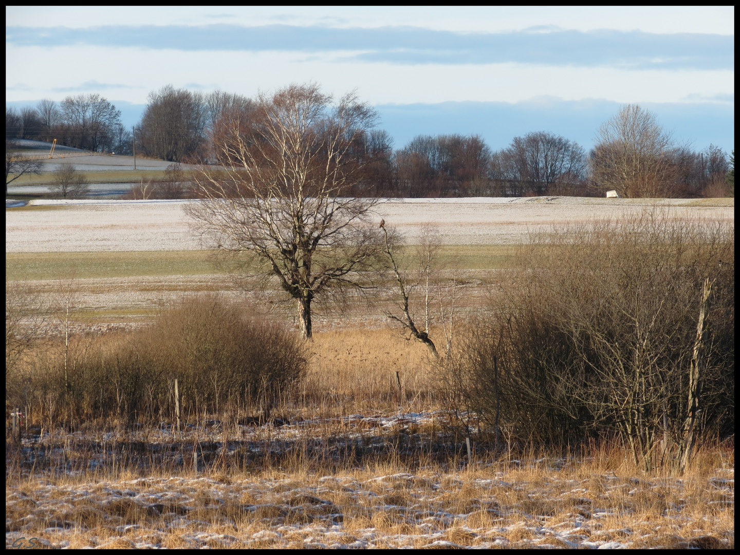 Hochmoor