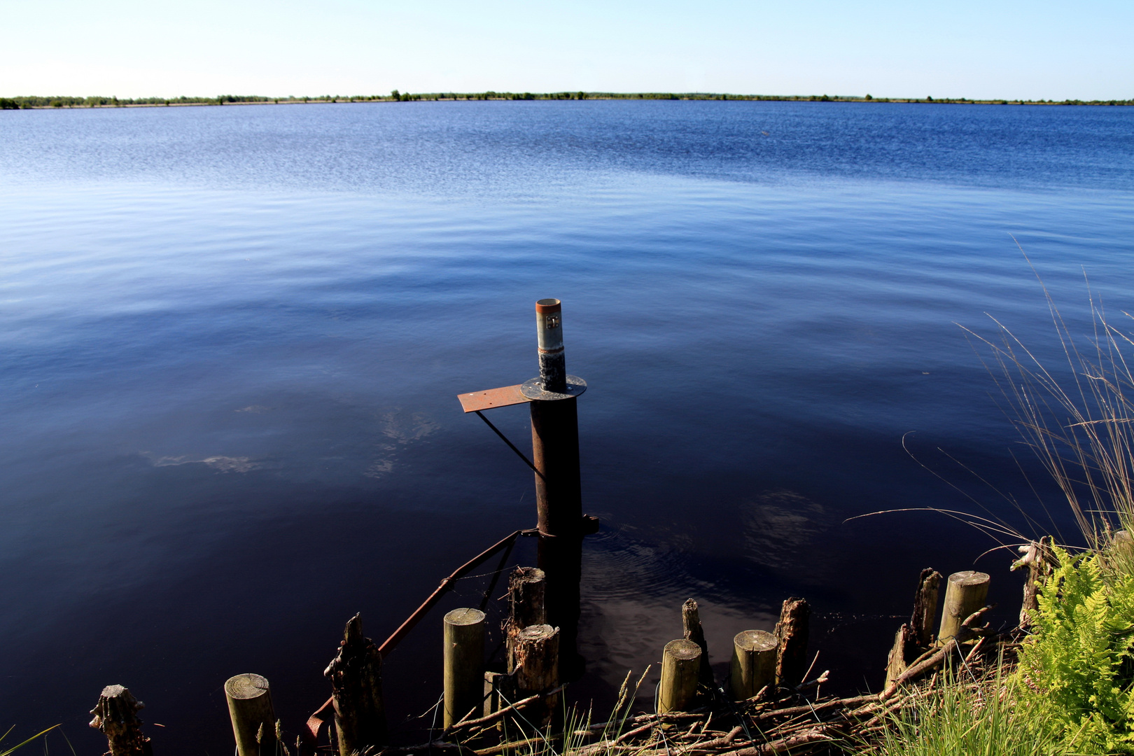 Hochmoor am Ewigen Meer