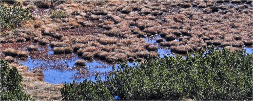 HOCHMOOR AM RITTEN