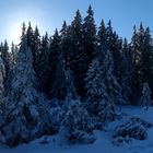 Hochmoor an der Cerna Hora