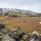 Hochmoor auf Landmannalugar