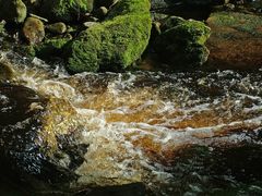 Hochmoor-Bach im Widratal, Tschechien.