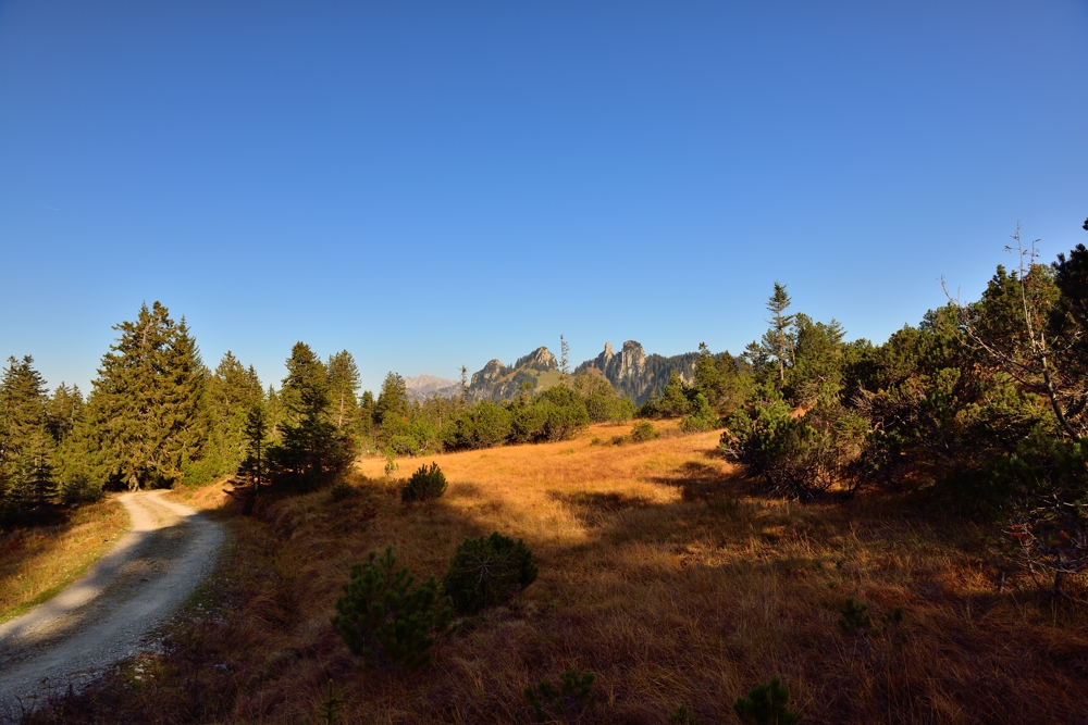 Hochmoor bei Amden