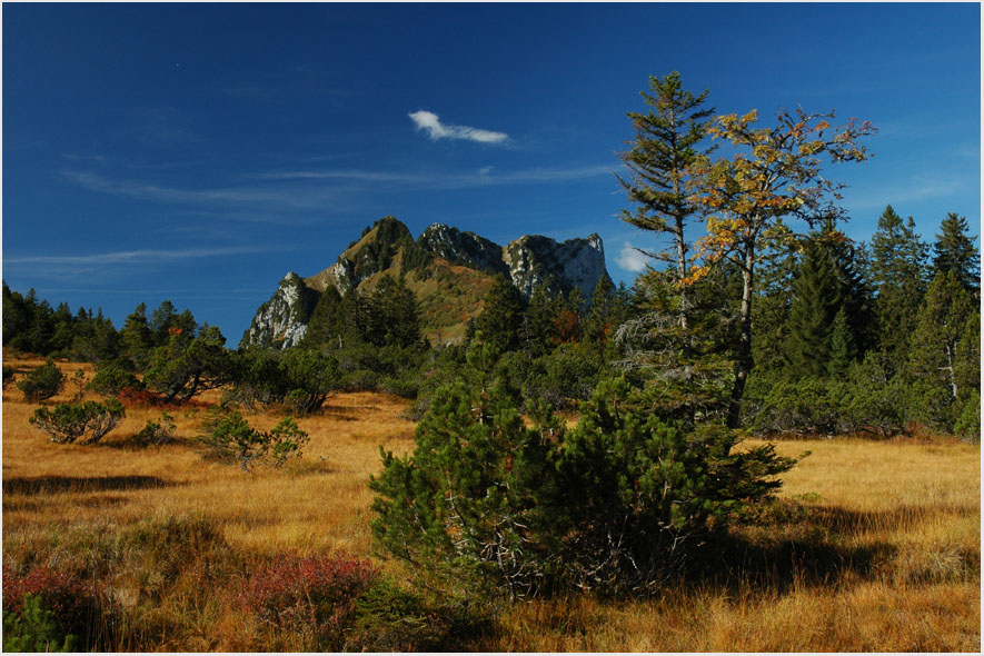 Hochmoor bei Amden - Unbearbeitet