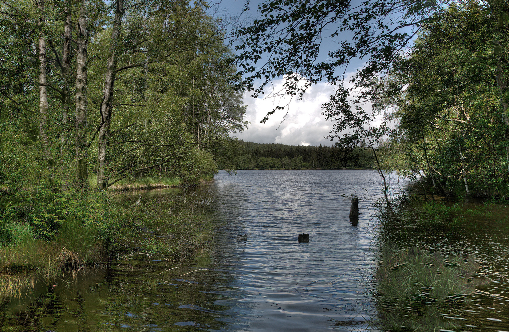 Hochmoor bei Glazen_Tschechien