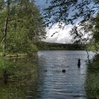 Hochmoor bei Glazen_Tschechien