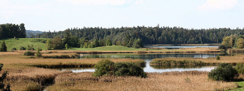 HOCHMOOR BEI IFFELDORF OBB