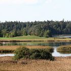 HOCHMOOR BEI IFFELDORF OBB