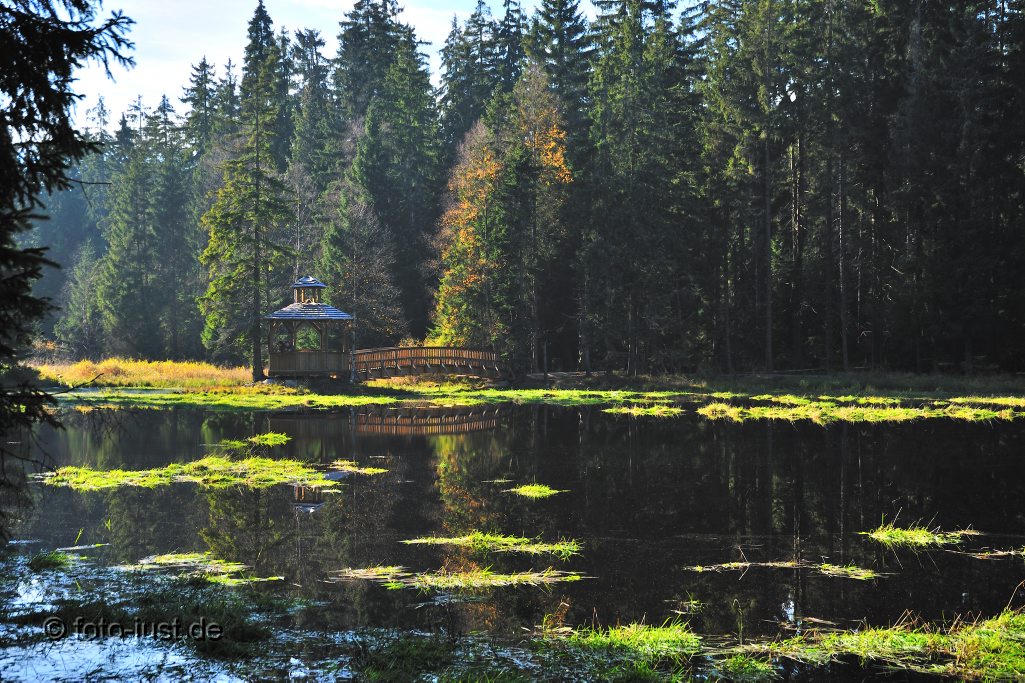 Hochmoor bei Kladska ( Glatze ) - Westböhmen - Tschechien