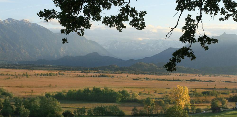 HOCHMOOR BEI MURNAU