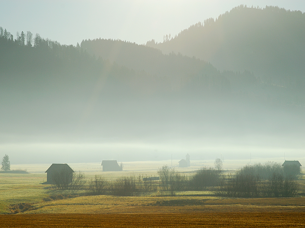 Hochmoor bei Rothenthurm SZ