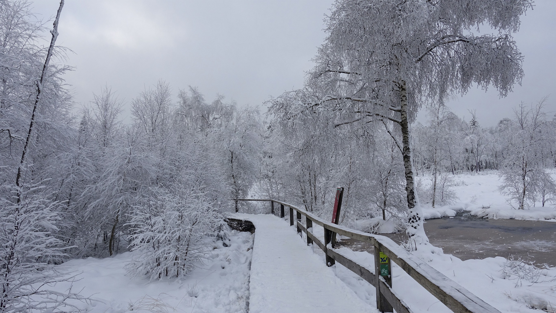 Hochmoor bei Silberborn