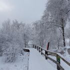 Hochmoor bei Silberborn