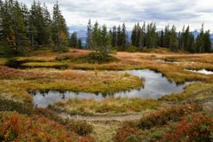 Hochmoor beim Wannenkopf.