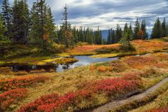 Hochmoor beim Wannenkopf