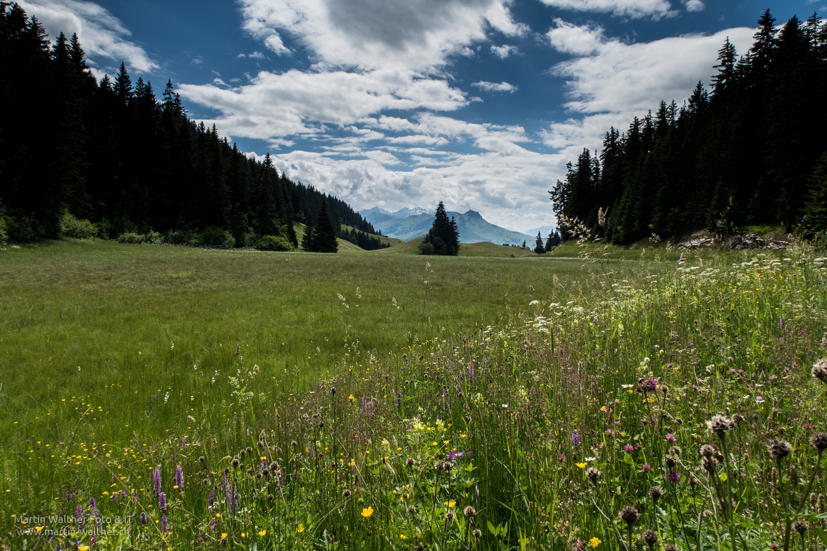 Hochmoor Cuolm Sura