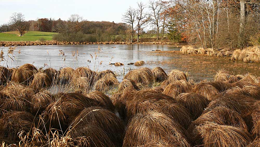 HOCHMOOR GEFROREN BEI ANDECHS