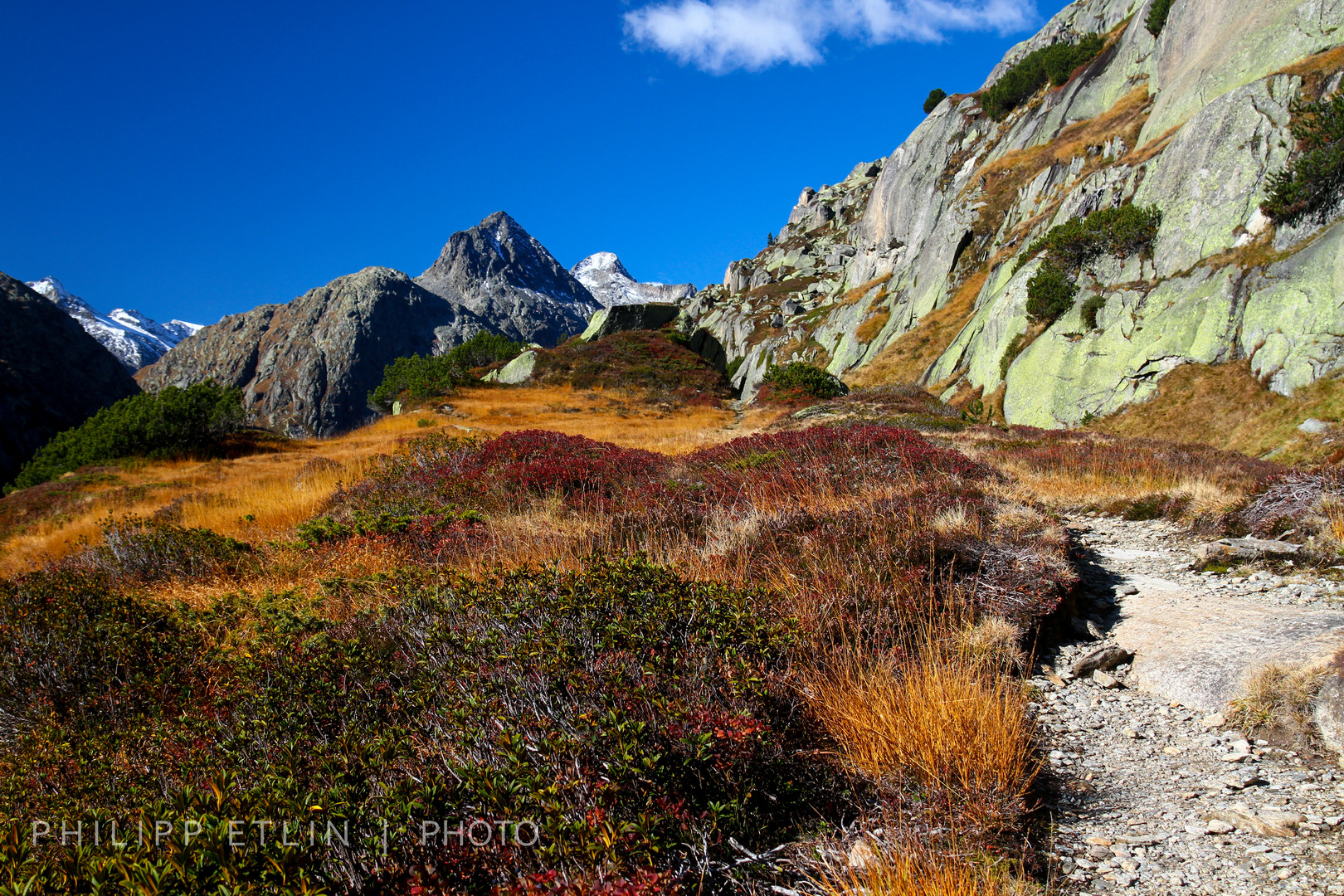 Hochmoor  Grimselwelt Schweiz