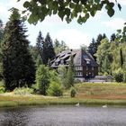 Hochmoor Hinterzarten, Wollgras