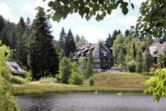 Hochmoor Hinterzarten, Wollgras