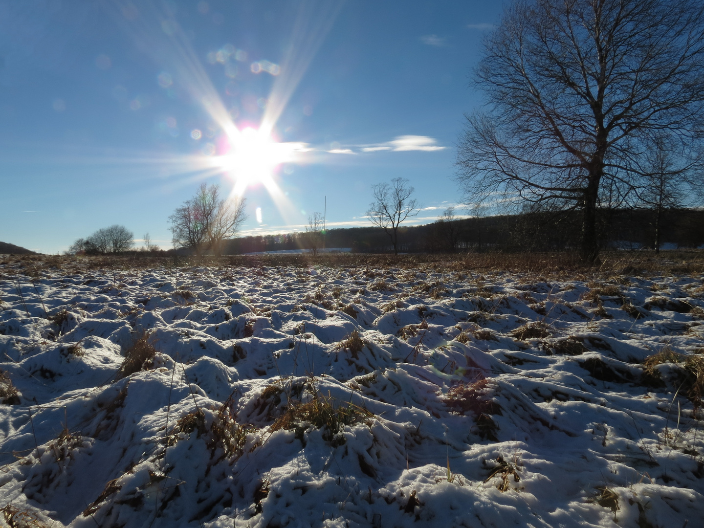 Hochmoor I