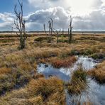 HOCHMOOR I