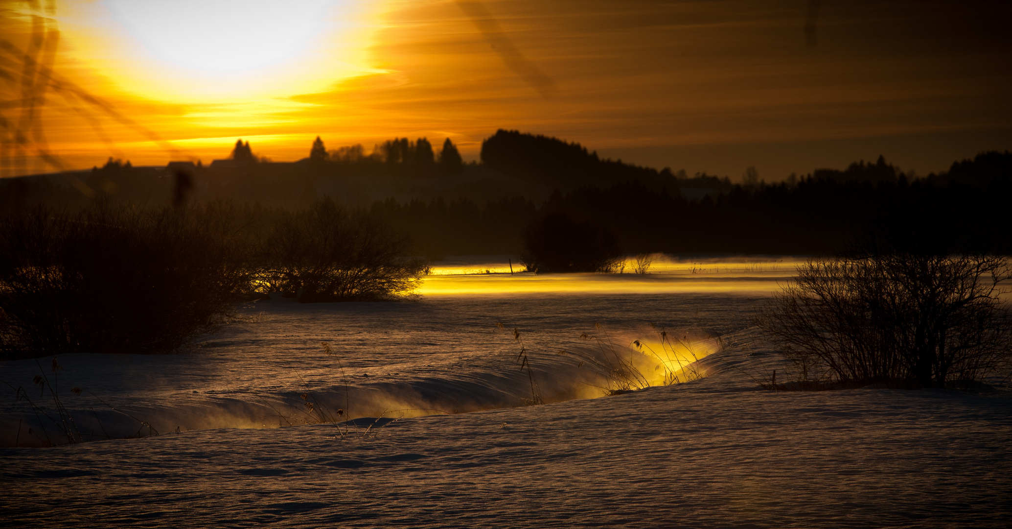 Hochmoor im Allgäu