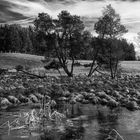 Hochmoor im Allgäu