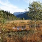 Hochmoor im Emmental