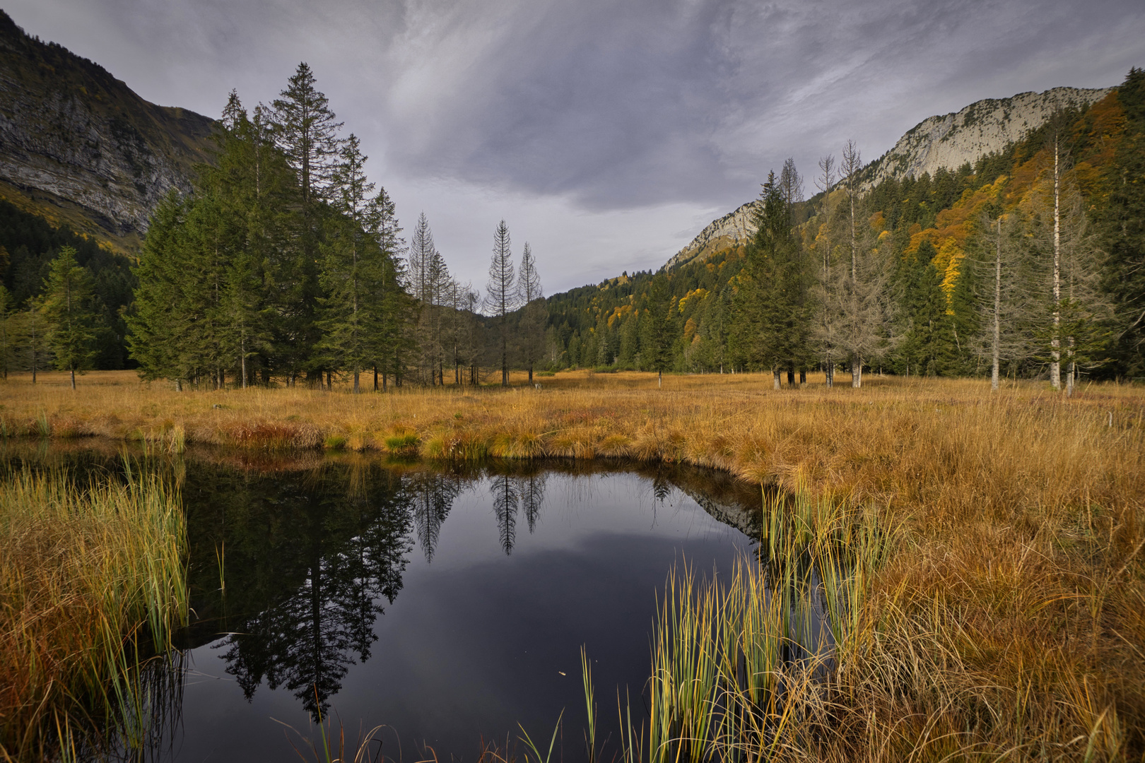 Hochmoor im Herbstkleid