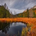 Hochmoor im Herbstkleid