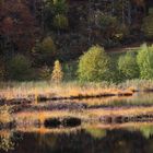 Hochmoor im kleinen Wiesental, Nonnenmattweiher ...