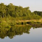 Hochmoor im Spiegelbild