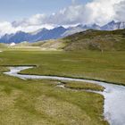 Hochmoor im Stubaital