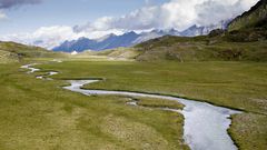 Hochmoor im Stubaital