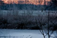 Hochmoor im Winter