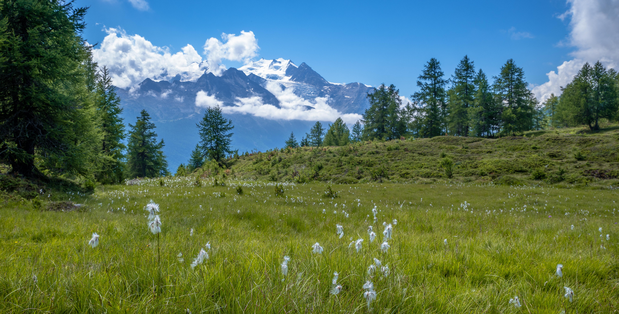 Hochmoor in den Walliser Alpen