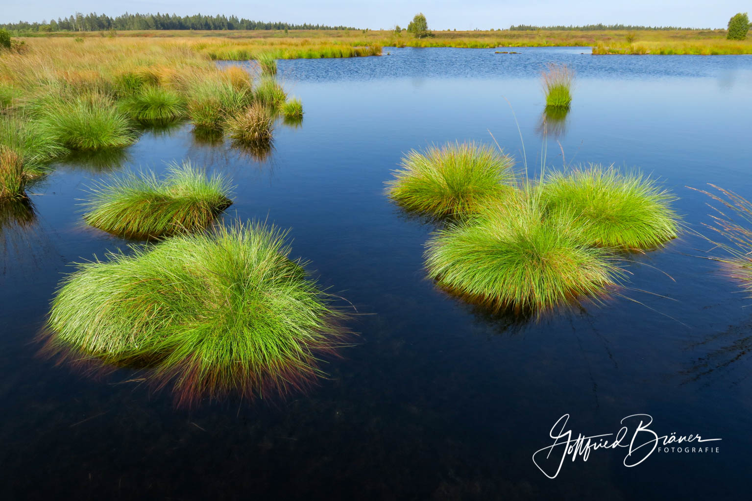 Hochmoor in Ost Belgien