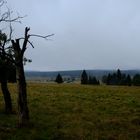 Hochmoor-Landschaft