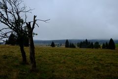 Hochmoor-Landschaft