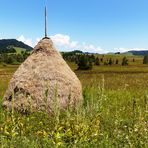 Hochmoor-Landschaft