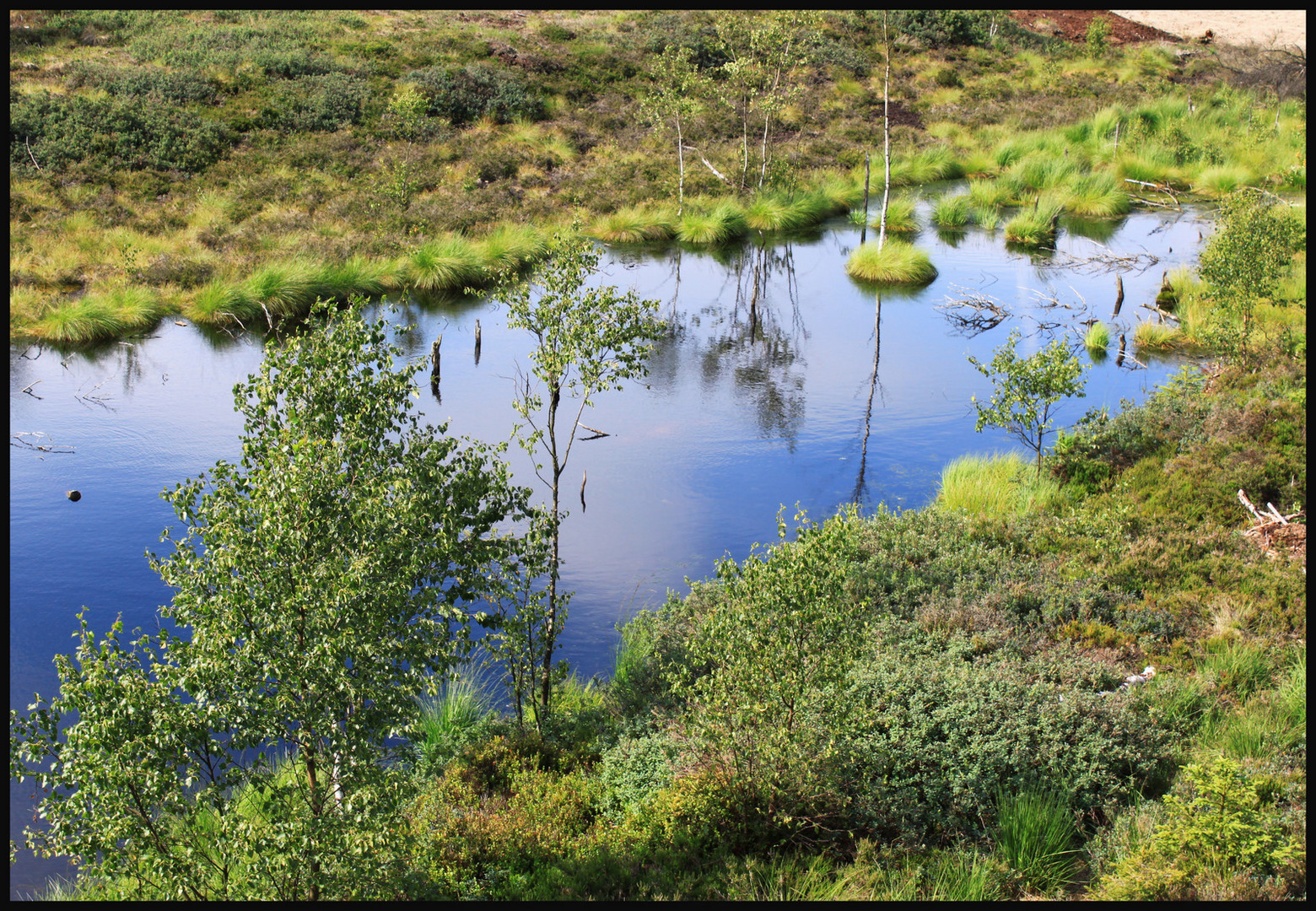 -Hochmoor Mecklenbruch-