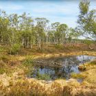 Hochmoor Mecklenbruch im Solling