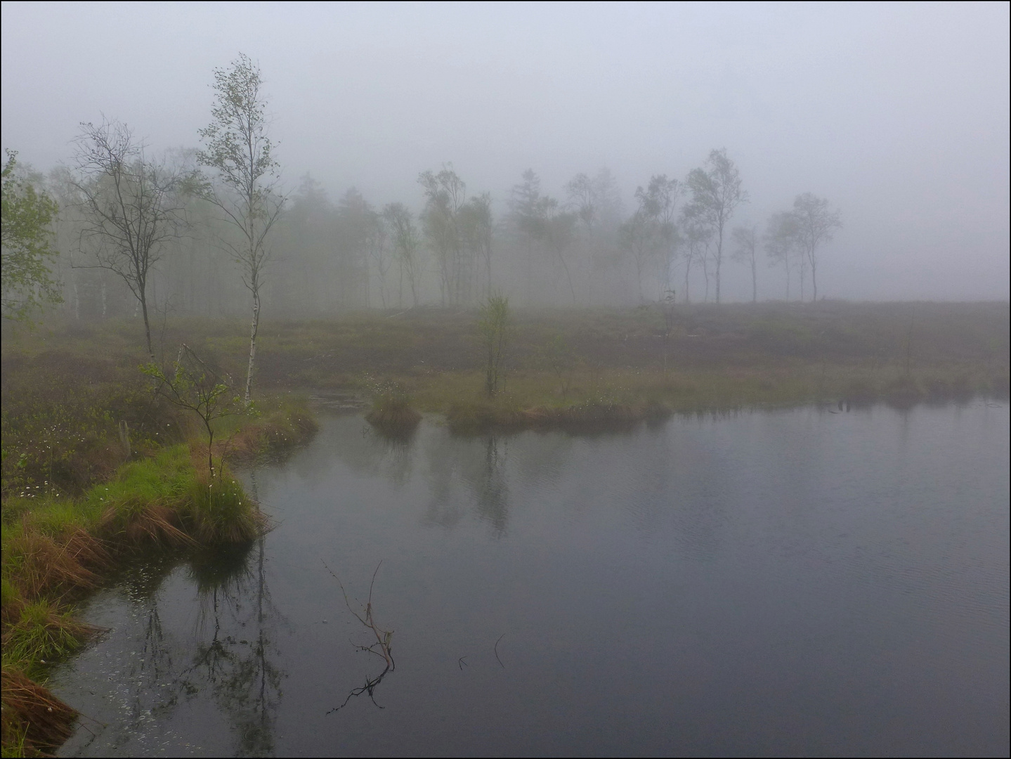 Hochmoor Mecklenbruch in Silberborn/Solling