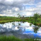 Hochmoor Mecklenbruch Solling