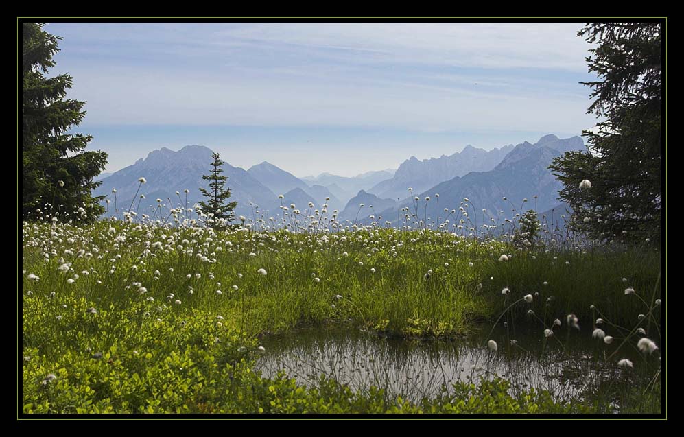 Hochmoor mit Gesäuseblick