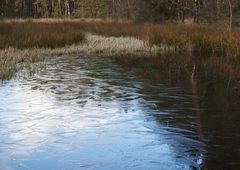 Hochmoor mit Wintercharme